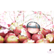 DKNY - Be Delicious Fresh Blossom (100ml) Teszter - EDP