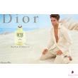Christian Dior - Dune (100ml) - EDT