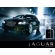Jaguar - Classic Black (100ml) - EDT