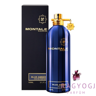 Montale Paris - Blue Amber (100ml) - EDP