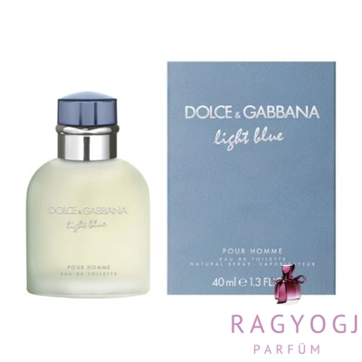 Dolce&amp;Gabbana Light Blue pour Homme EDT 40ml