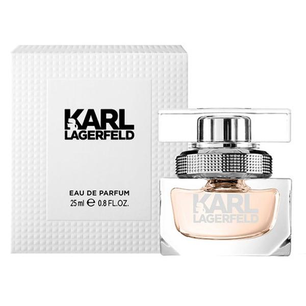 karl lagerfeld rn54163